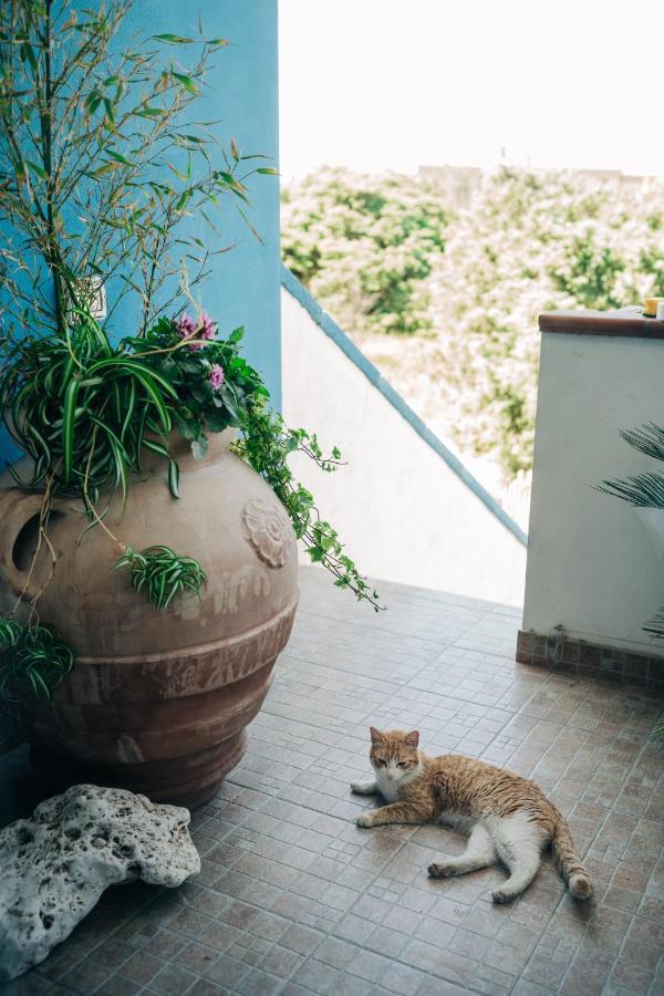 Juniper Bay Bed & Breakfast Portoscuso Dış mekan fotoğraf